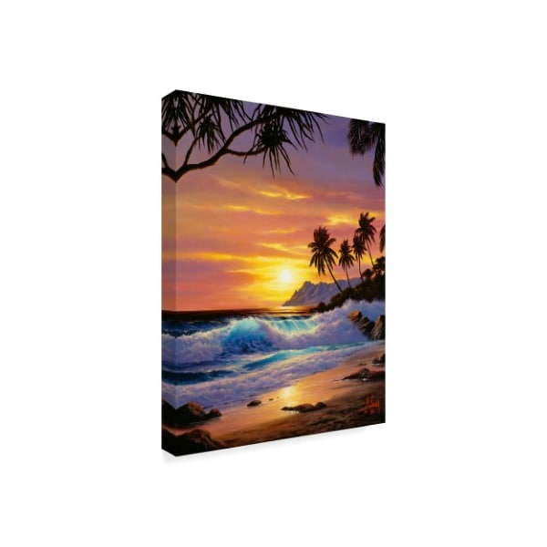 Anthony Casay 'Tropical Coast 3' Canvas Art,18x24